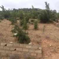 فروش زمین 500 متری