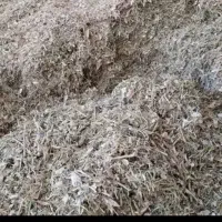 کاه لوبیا