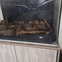 فروش آکواریوم