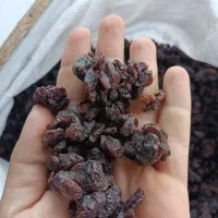 کشمش افتابی سورت لیزر بدون حتی یه دونه سوک و روغن|خوردنی و آشامیدنی|اصفهان, زهران|دیوار