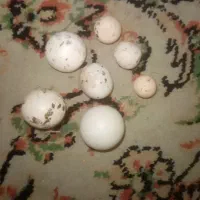 سنگ الماس اسیاب