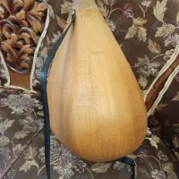 قوپوز ساز آذربایجان|سازهای سنتی|تبریز, |دیوار