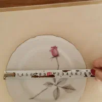 چینی مسعود|ظروف سرو و پذیرایی|تبریز, |دیوار