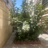 فروش اپارتمان یامعاوضه ۱۲۹مترباغ خزانه|فروش آپارتمان|تهران, باغ خزانه|دیوار