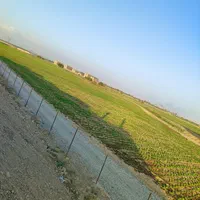 فروش ۵۰هکتار زمین سند ۶دانگ مجوز شهرک گلخانه‌ای|فروش دفتر صنعتی، کشاورزی، تجاری|جوادآباد, |دیوار