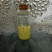 تخم حلزون ارگانیک