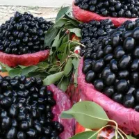 میوه خاص جنوب (جمبو)