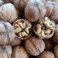 گردو مغز سفید خوشمزه پرچرب