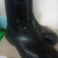 پوتین ۵۵۰