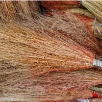 جارو محلی مال امسال اگر خریداری زنگ بزن