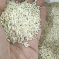برنج صدری دورود