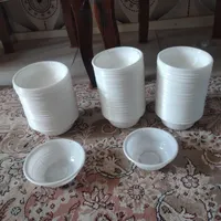 ظروف  یکبار مصرف