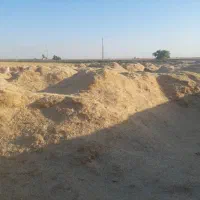 کاه|حیوانات مزرعه|اهواز, الهائی|دیوار