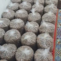خرمای برحی|خوردنی و آشامیدنی|قم, جمکران|دیوار