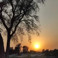 گوشی گم کردم