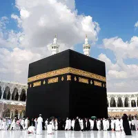 فروش فیش حج