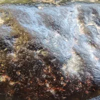 سنگ جواهر گران بها|جواهرات|مشهد, نوفل لوشاتو|دیوار