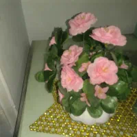 طلا|اشیا|نسیم‌شهر, |دیوار