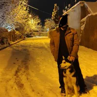 هاسکی نر اصیل