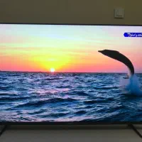 TV دوو 50 اینچ