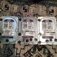 هارد ۴ ترابایت 100% وسترن بنفش Hard 4TB western