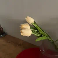 استخدام فروشنده