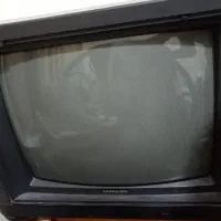 تلویزیون