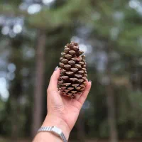 اموزش عکاسی خصوصی