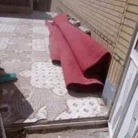 موکت|موکت|زاهدان, |دیوار