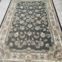 فرش|فرش|دزفول, |دیوار