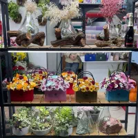 دستگل،باکس گل،ماشین عروس،تاجگل،تراریوم