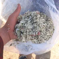 فروش تفاله چغندر،وتفاله سیب|حیوانات مزرعه|چهاربرج, |دیوار