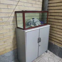 آکواریوم و میز|ماهی|تبریز, |دیوار