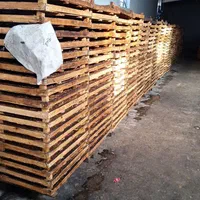 کشمش پلویی ملایر|عمدهفروشی|تهران, امیریه|دیوار