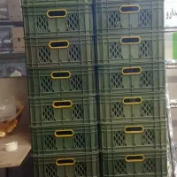 سبد لبنیلتی یا قصابی