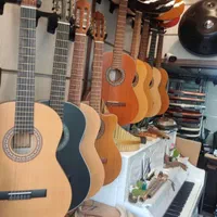 گیتار پارسی p40 و m5 ارسال رایگان