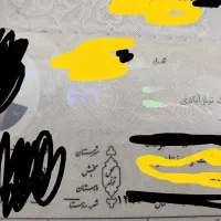 شناسنامه پیدا شده