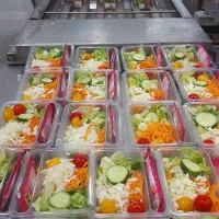 فروش سالاد فصل و ماست تک‌نفره