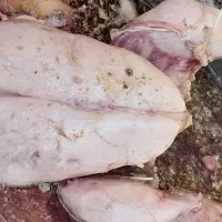 غذای سگ و گربه  مرغ پاک شده کیلو 40