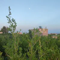 باغ در بافت روستای خسروجرد|فروش زمین و ملک کلنگی|سبزوار, خسروجرد|دیوار