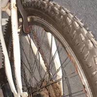 دوچرخه ۲۴|دوچرخه، اسکیت، اسکوتر|اهواز, سپیدار|دیوار