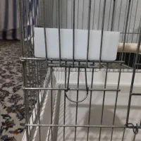 قفس بزرگ پرنده ۹۵۰|لوازم جانبی حیوانات|شیراز, سهلآباد|دیوار
