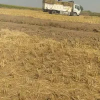 پرس کاه شالی 500 تن نقد نقد رو باسکول پول بگیر