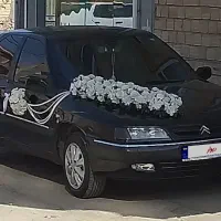زانتیا