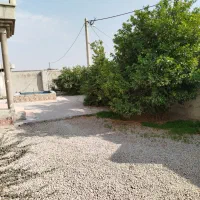 خونه ویلایی بویری شبانکاره|فروش خانه و ویلا|برازجان, |دیوار