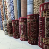 پخش  موکت  اصفهان|موکت|اصفهان, لاله|دیوار