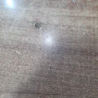 اجاره فقط خانواده ۲ نفره