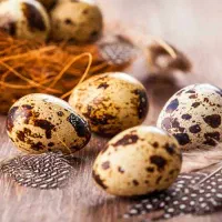 تخم بلدرچین خوراکی