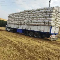 خریدار کاه به صورت نقدی