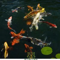 خدمات و اجرای فضاسازی باغ ویلا روفگاردن|گل و گیاه طبیعی|مشهد, هنرستان|دیوار